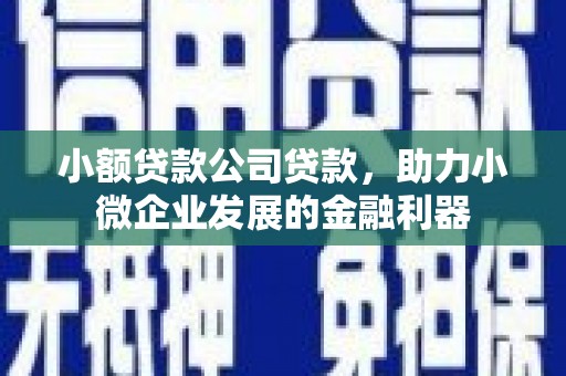 沙坡头小额贷款公司贷款，助力小微企业发展的金融利器