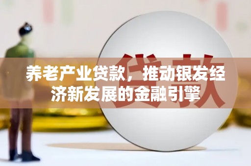 沙坡头养老产业贷款，推动银发经济新发展的金融引擎
