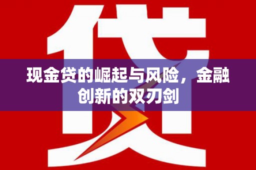 沙坡头现金贷的崛起与风险，金融创新的双刃剑