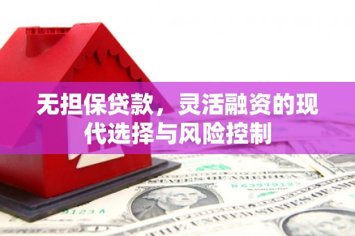 沙坡头无担保贷款，灵活融资的现代选择与风险控制