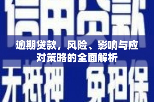 沙坡头逾期贷款，风险、影响与应对策略的全面解析