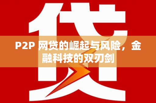 沙坡头P2P 网贷的崛起与风险，金融科技的双刃剑
