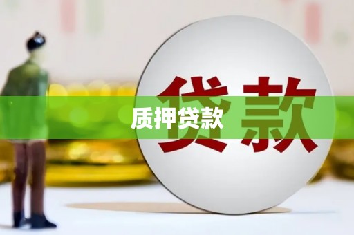 沙坡头质押贷款