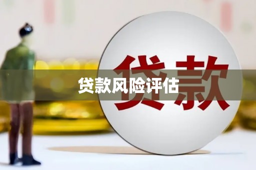 沙坡头贷款风险评估