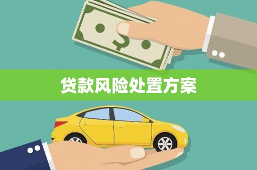 沙坡头贷款风险处置方案