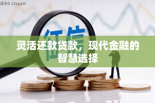 沙坡头灵活还款贷款，现代金融的智慧选择
