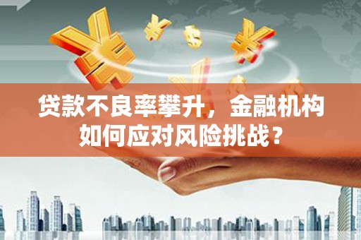 沙坡头贷款不良率攀升，金融机构如何应对风险挑战？