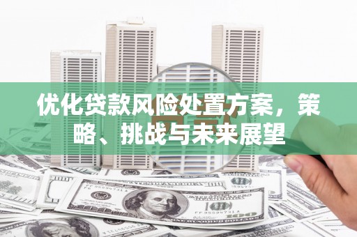 沙坡头优化贷款风险处置方案，策略、挑战与未来展望