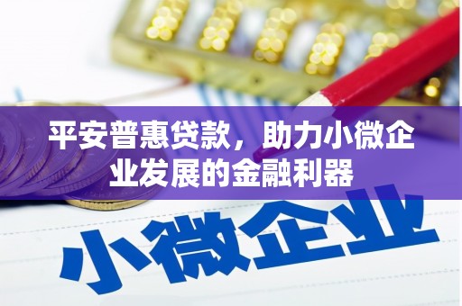沙坡头平安普惠贷款，助力小微企业发展的金融利器