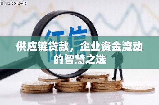 沙坡头供应链贷款，企业资金流动的智慧之选