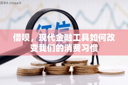 沙坡头借呗，现代金融工具如何改变我们的消费习惯