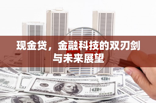 沙坡头现金贷，金融科技的双刃剑与未来展望