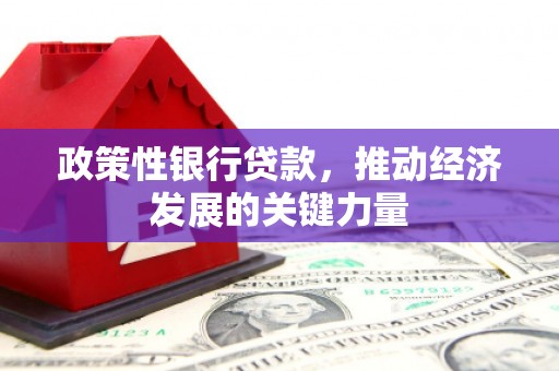 沙坡头政策性银行贷款，推动经济发展的关键力量