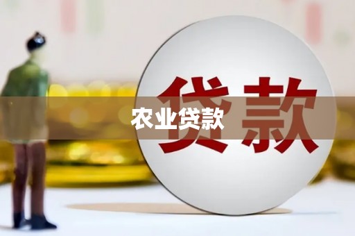 沙坡头农业贷款