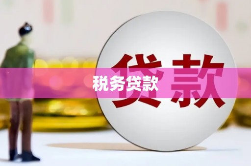 沙坡头税务贷款