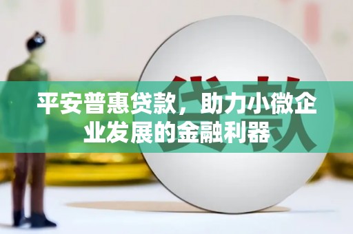 沙坡头平安普惠贷款，助力小微企业发展的金融利器
