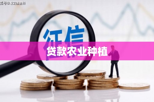 沙坡头贷款农业种植