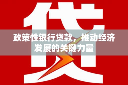 沙坡头政策性银行贷款，推动经济发展的关键力量
