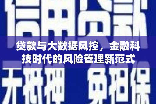 沙坡头贷款与大数据风控，金融科技时代的风险管理新范式