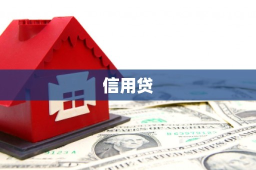 沙坡头信用贷