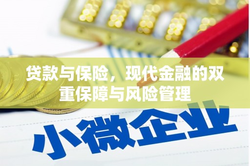 沙坡头贷款与保险，现代金融的双重保障与风险管理