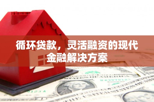 沙坡头循环贷款，灵活融资的现代金融解决方案