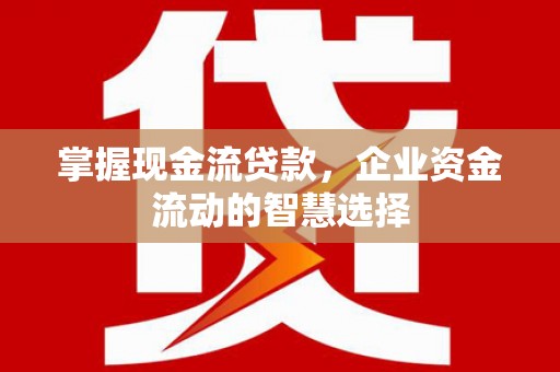 沙坡头掌握现金流贷款，企业资金流动的智慧选择