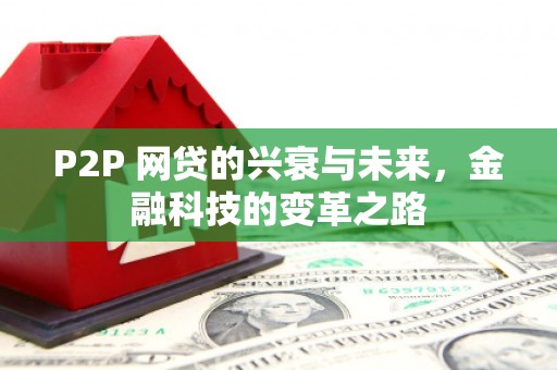 沙坡头P2P 网贷的兴衰与未来，金融科技的变革之路