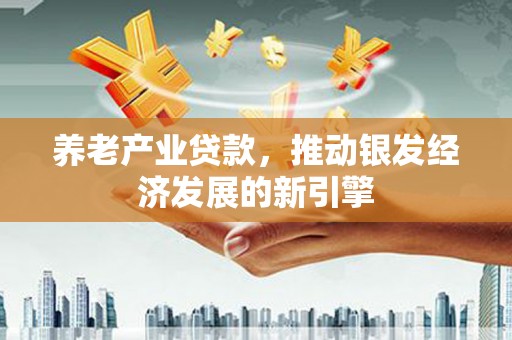 沙坡头养老产业贷款，推动银发经济发展的新引擎