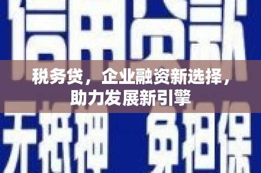 沙坡头税务贷，企业融资新选择，助力发展新引擎