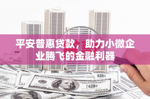 沙坡头平安普惠贷款，助力小微企业腾飞的金融利器