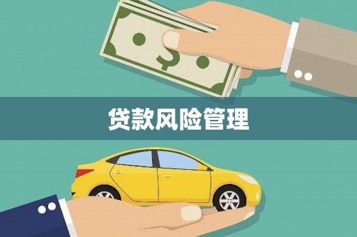 沙坡头贷款风险管理