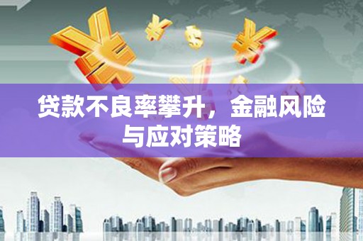 沙坡头贷款不良率攀升，金融风险与应对策略