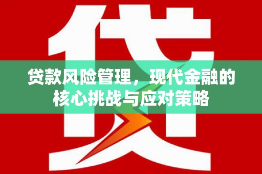 沙坡头贷款风险管理，现代金融的核心挑战与应对策略
