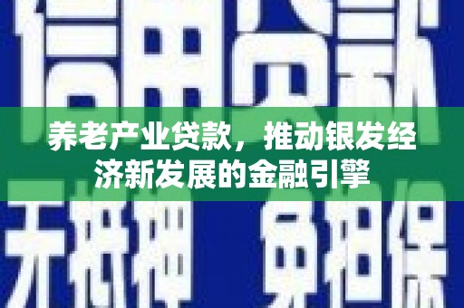 沙坡头养老产业贷款，推动银发经济新发展的金融引擎