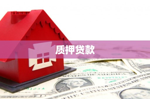 沙坡头质押贷款