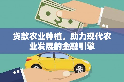 沙坡头贷款农业种植，助力现代农业发展的金融引擎