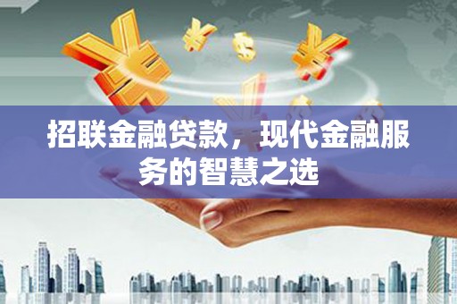 沙坡头招联金融贷款，现代金融服务的智慧之选