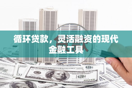 沙坡头循环贷款，灵活融资的现代金融工具