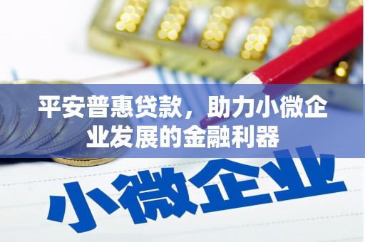 沙坡头平安普惠贷款，助力小微企业发展的金融利器