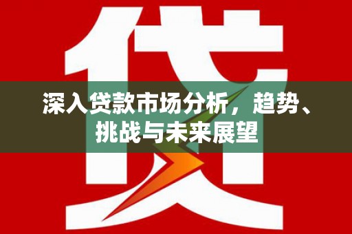 沙坡头深入贷款市场分析，趋势、挑战与未来展望