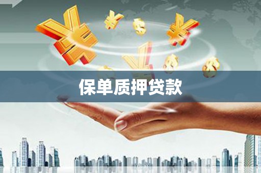 沙坡头保单质押贷款