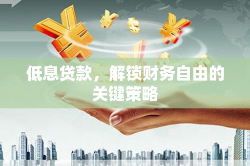 沙坡头低息贷款，解锁财务自由的关键策略