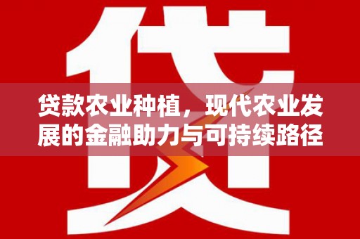 沙坡头贷款农业种植，现代农业发展的金融助力与可持续路径