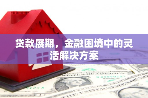 沙坡头贷款展期，金融困境中的灵活解决方案