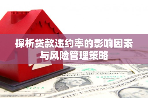 沙坡头探析贷款违约率的影响因素与风险管理策略