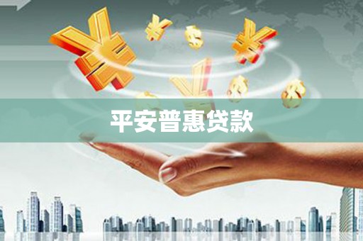 沙坡头平安普惠贷款