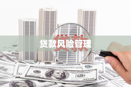 沙坡头贷款风险管理
