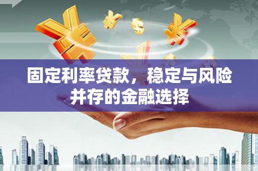 沙坡头固定利率贷款，稳定与风险并存的金融选择