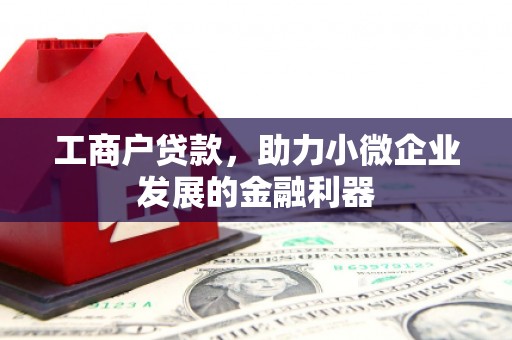 沙坡头工商户贷款，助力小微企业发展的金融利器